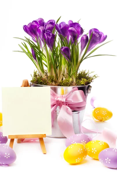 Colorful painted easter eggs and spring flowers — Stock Photo, Image