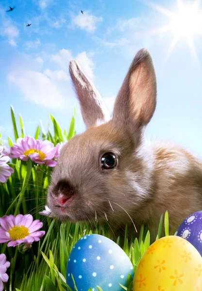 Art Pâques Bébé lapin et oeufs de Pâques — Photo
