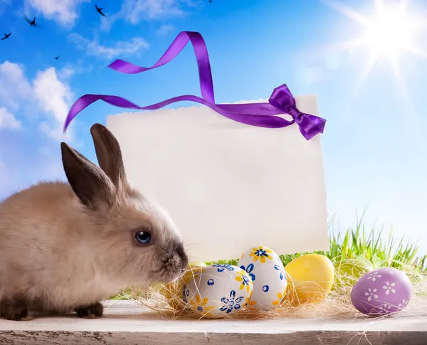 Tarjeta de felicitación Art Easter con el conejo de Pascua y los huevos de Pascua — Foto de Stock