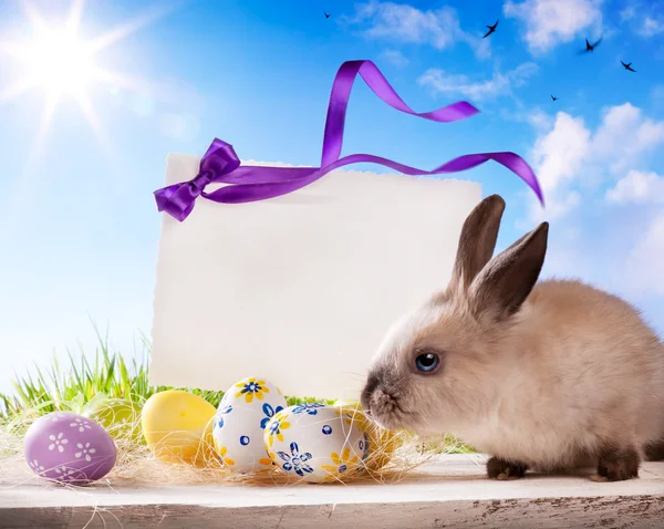 Tarjeta de felicitación de Pascua con el conejo de Pascua y los huevos de Pascua — Foto de Stock