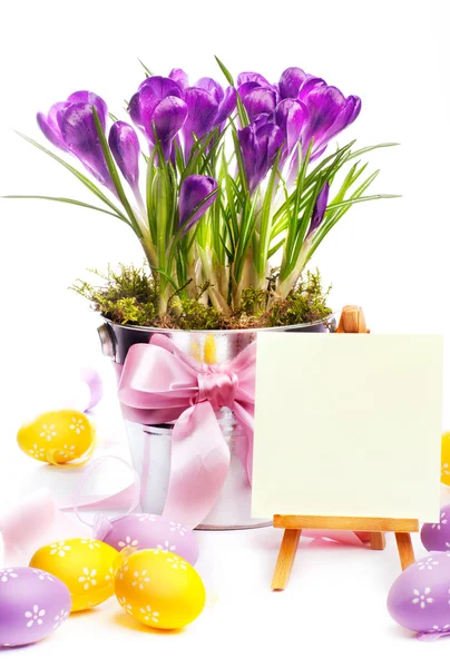 Colorful painted easter eggs and spring flowers — Stock Photo, Image