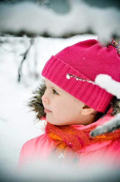 겨울 초상화에 어린 소녀 스톡 사진