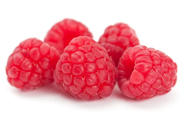 Ripe juicy fresh raspberries — Stock Photo, Image