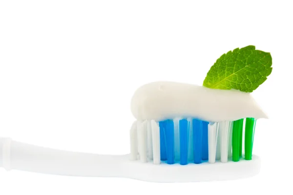 Čerstvá mátová zubní kartáček — Stock fotografie
