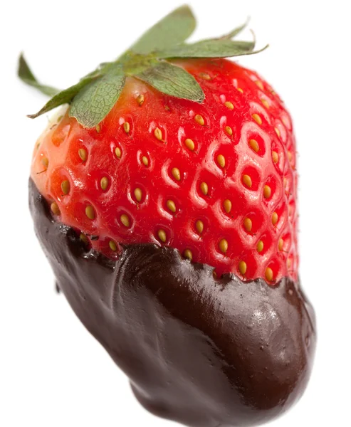 Fraise fraîche au chocolat fondu — Photo