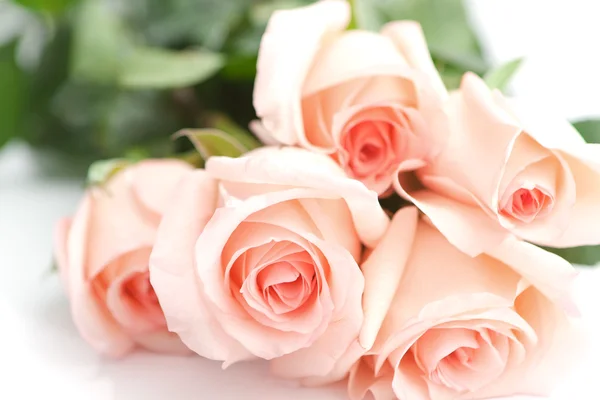 完美粉红玫瑰花束 图库照片