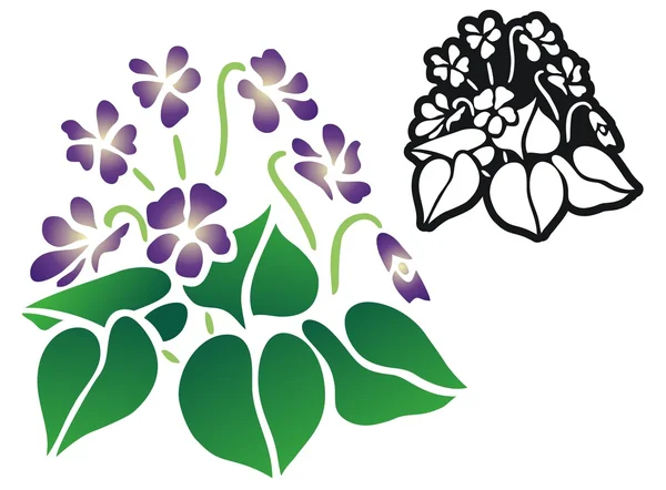 Violets — Stock Vector