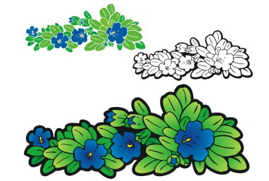 Indian Gentian clipart