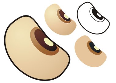 Black eyed pea clipart