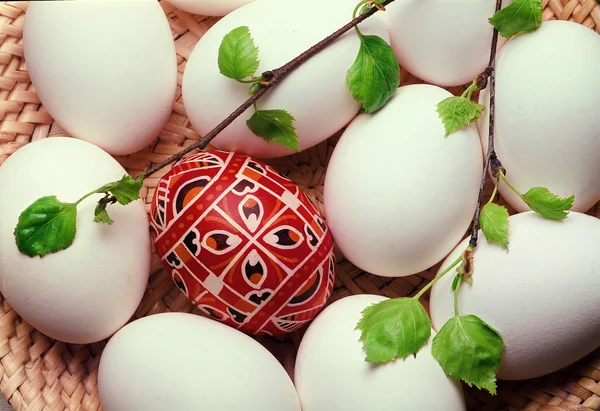 Easter 004 — Stock Photo, Image