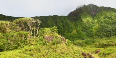 Mount Liamuiga - Saint Kitts