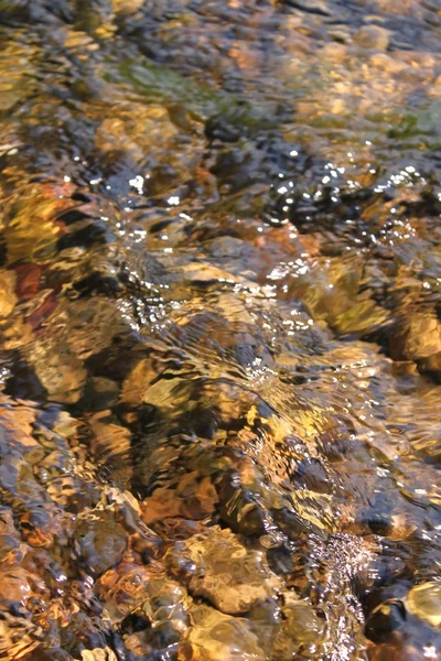 Creek Riffle fundo — Fotografia de Stock
