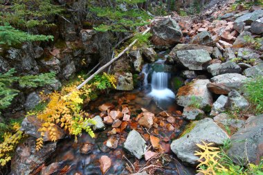 Ulusal orman creek çağlayan