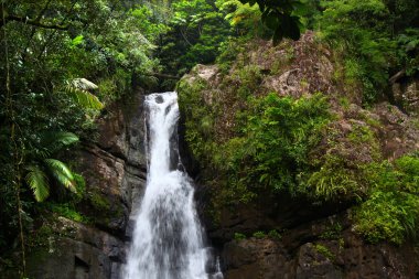 La Mina Falls - Puerto Rico clipart