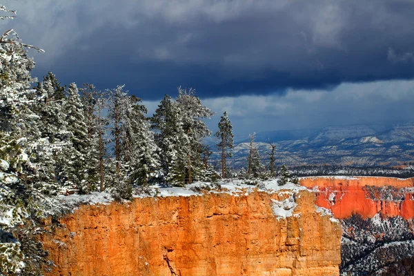 Bryce canyon nationalpark snöfall — Stockfoto