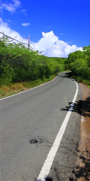 Winding Road - Puerto Rico — Stock Photo, Image