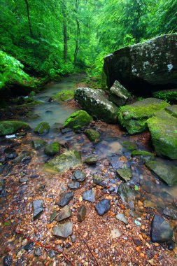 Tranquil Creek Scene in Alabama clipart