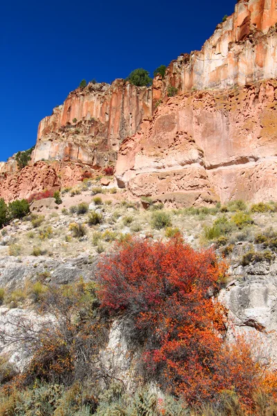 Flores silvestres y acantilados rocosos de Utah — Foto de Stock