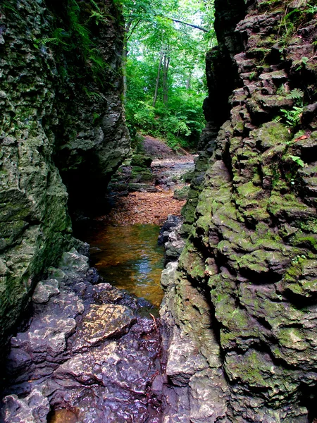 Narrow Gorge in Bourbonnais Illinois — Stock Photo, Image