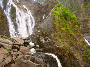 Barron Falls - Queensland, Australia clipart