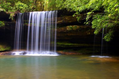 Upper Caney Creek Falls in Alabama clipart