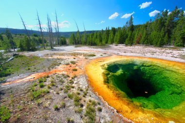 Morning Glory Pool of Yellowstone clipart