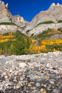 Mount Wilson Banff National Park clipart