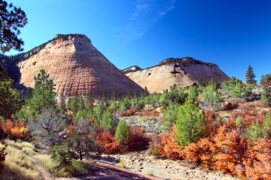 Dama Tahtası mesa - zion national park