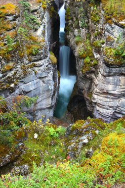 Maligne Canyon Waterfall in Canada clipart