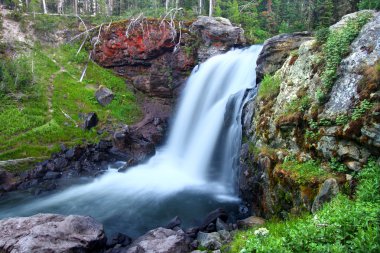 Moose falls yellowstone Milli Parkı