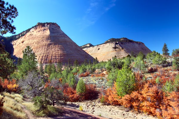 Tablero Mesa - Parque Nacional de Zion — Foto de Stock