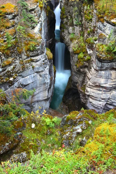 Cascata del canyon di Maligne in Canada — Foto Stock