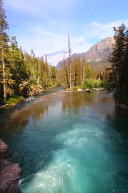 Saint mary creek - buzul np