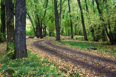 Autumn scenery of northern Utah clipart