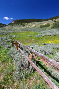 Bighorn National Forest Landscape clipart