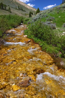 Bighorn National Forest Stream clipart