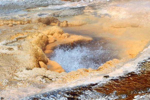 Géiser de bomba - Yellowstone —  Fotos de Stock
