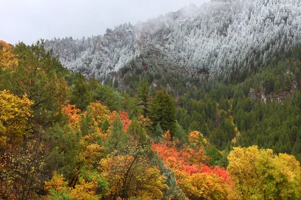 Cache National Forest - Utah