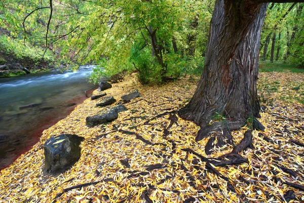 Cache River Utah en el otoño — Foto de Stock