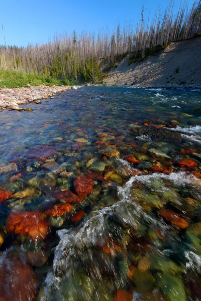 North Fork Flathead River - Montana — Stock fotografie