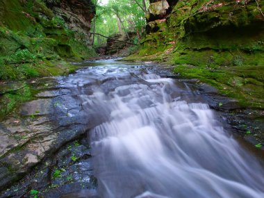 pewits yuva - wisconsin dells