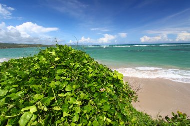 Anse de Sables Beach - Saint Lucia