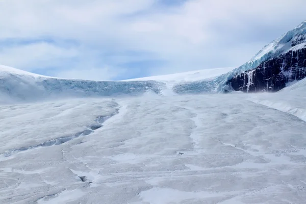 Ледник Атабаска - Национальный парк Джаспер — стоковое фото