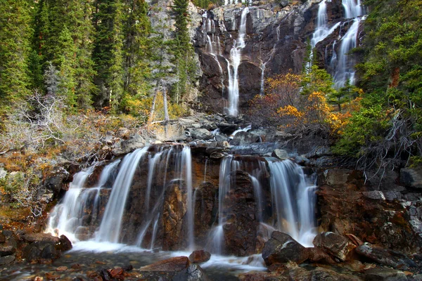 Tangle Falls - Jasper Park — Stock Photo, Image