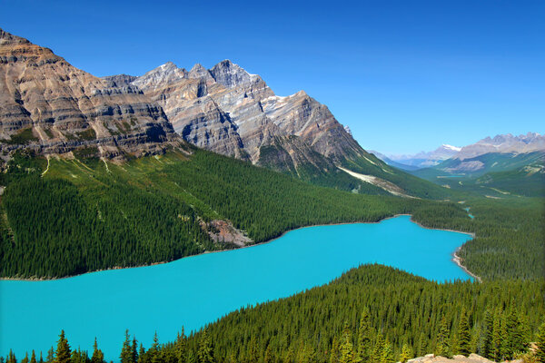 Magnificent blue waters of Peyto Lake of Banff National Park in Canada.