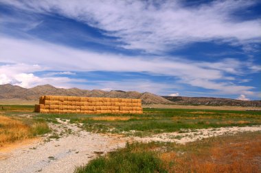 Rural Idaho Scenery clipart