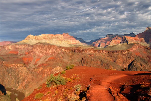 stock image Grand Canyon Morning Light