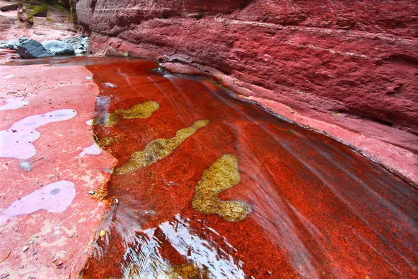 Cañón Red Rock de Canadá — Foto de Stock