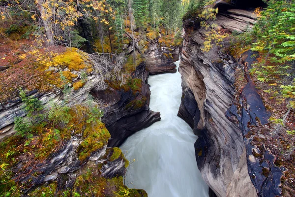 阿萨巴斯卡瀑布峡谷-加拿大 — 图库照片