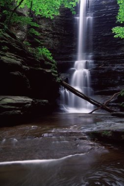 Mathhiessen Devlet Park - Illinois